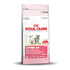 Royal Canin Kitten 36 Kat 5-12 mnd. 400 gr.