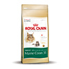 Royal Canin Main Coon 31 2 kg.