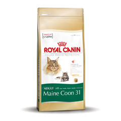 Royal Canin Main Coon 31 2 kg.