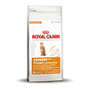 Royal Canin Exigent 42 Protein Prefence 2 kg.