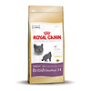 Royal Canin British Shorthair 34 4 kg.