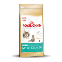 Royal Canin Main Coon Kitten 400 gr.