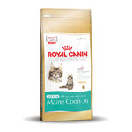 Royal Canin Main Coon Kitten 4 kg.