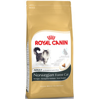 Royal Canin Norwegian Forrest Cat Adult 2 kg.
