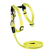 Rogz Beltz Catz AlleyCat Tuig+Lijn S Geel 1 st. Small