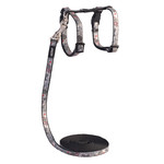 Rogz Beltz Catz Reflectocat Tuig+Lijn XS Black Cat 1 st. Extra Small