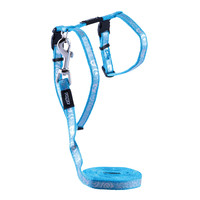 Rogz Beltz Catz Sparklecat Tuig+Lijn S Turquoise 1 st. Small