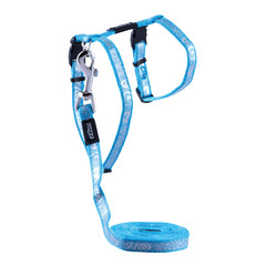Rogz Beltz Catz Sparklecat Tuig+Lijn S Turquoise 1 st. Small