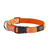Rogz Beltz Fancy Dress Halsband L Orange Doodle-Orange 1 st. Large
