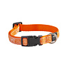 Rogz Beltz Fancy Dress Halsband M Orange Doodle-Orange 1 st. Medium