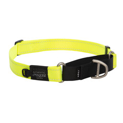 Rogz Beltz Utility Control Web Halsband XL Geel 1 st. Extra Large
