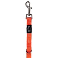 Rogz Beltz Alpinist MultiLijn M Oranje 1 st. Medium