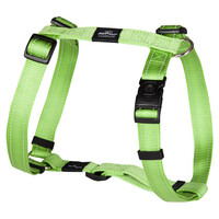 Rogz Beltz Utility Tuig XL Lime 1 st. Extra Large