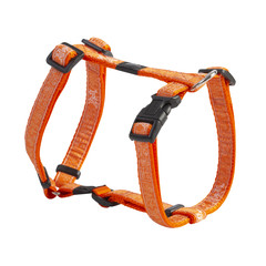 Rogz Beltz Fancy Dress Tuig M Orange Doodle-Orange 1 st. Medium