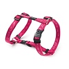 Rogz Beltz Alpinist Tuig M Roze 1 st. Medium