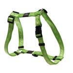 Rogz Beltz Alpinist Tuig L Lime 1 st. Large