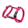 Rogz Beltz Alpinist Tuig L Roze 1 st. Large