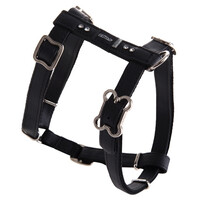 Rogz Beltz Lapz Luna Tuig M Zwart  1 st. Medium