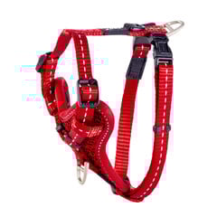 Rogz Beltz Utility Control Tuig S Rood 1 st. Small