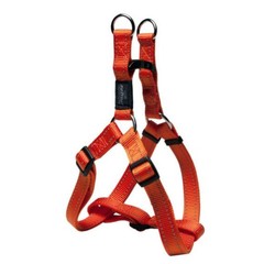 Rogz Beltz Utility InstapTuig M Oranje 1 st. Medium