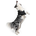 Suitical Happy Recovery Recovery Sleeve Zwart Medium 1 st. Medium