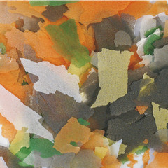 Vijvervlokken 10 kg.