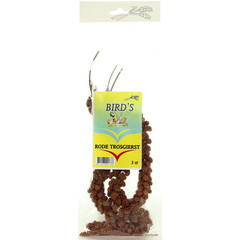 Bird's Trosgierst Rood 3 stuks 1 st.