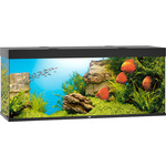 Juwel Juwel aquarium Rio 450 LED met filter, zwart.