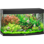 Juwel Juwel aquarium Vision 180 LED met filter, zwart.
