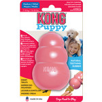 Kong Kong hond Puppy, medium.