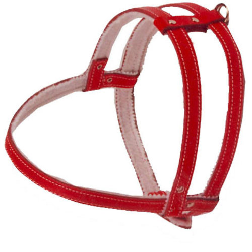 Boon Dog fashion Boon Dog fashion borsttuig gevoerd rood, 12 mm/55 cm.