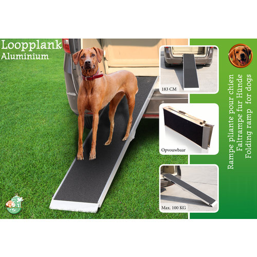 Boon loopplank aluminium anti-slip 183 cm, maximaal 100 kg.