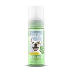 Fresh Breath Fresh Breath OralCare Foam 133 ml.