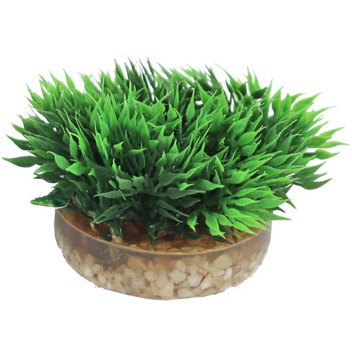 Sydeco Sydeco kunststofplant Green Moss, 7 cm.