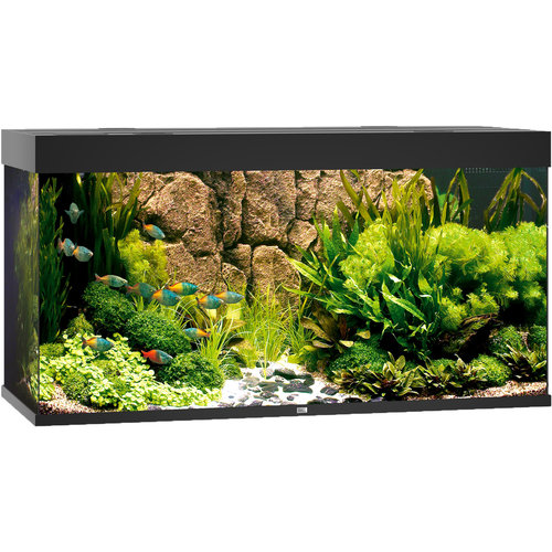 Juwel Juwel aquarium Rio 350 LED met filter, zwart.