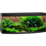 Juwel Juwel aquarium Vision 450 LED met filter, zwart.