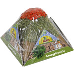 JR Farm JR Farm knaagdier knaag-/krabpiramide, 400 gram. 06293