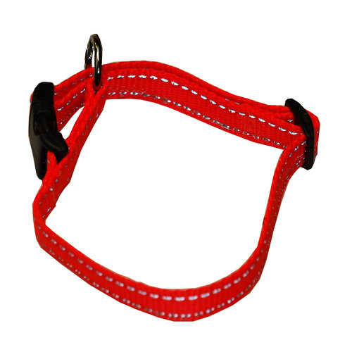 Boon Dog fashion Boon Dog fashion halsband nylon verstelbaar oranje/reflecterend, 10 mm 20-35 cm.