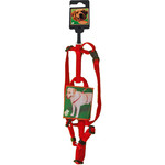 Boon Boon Dog fashion BH-tuig nylon 10 mm x H35-B45 cm, rood.
