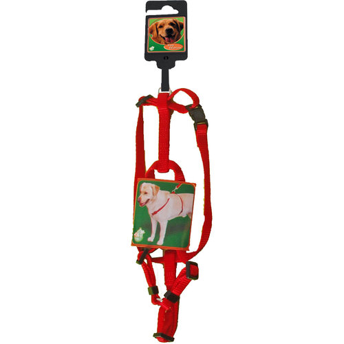 Boon Boon Dog fashion BH-tuig nylon 10 mm x H35-B45 cm, rood.