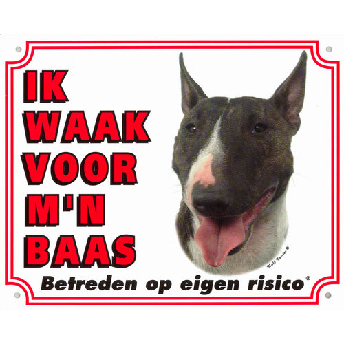 Waakbord groot in kleur, Bull Terrier.