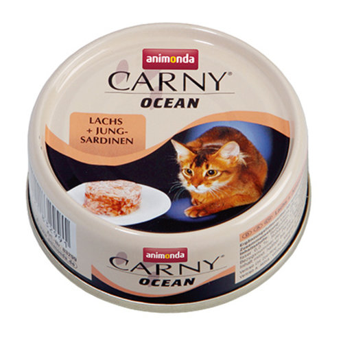 Carny Carny Ocean Zalm/Sardines 80 gr.