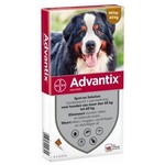 Advantix Advantix 600 > 4 Pipet 1 st.