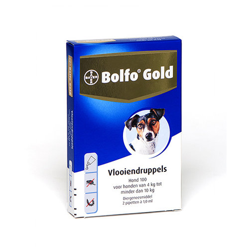 Bolfo Bolfo Gold Hond 100 > 2 Pipet 1 st.