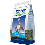 Anseres Anseres Watervogel Hele Granenmix 4 kg.