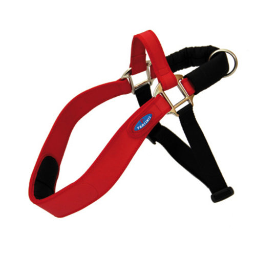 Pratiko Tuigen & Lijnen Tuig Rood Energy met Clip Mt.1 1 st. 65-75 cm.