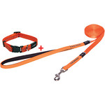 Rogz Beltz Lapz Luna LangeLijn M Oranje+Gratis Halsband 1 st. Medium