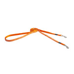 Rogz Beltz Fancy Dress MultiLijn S Orange Doodle-Orange 1 st. Small