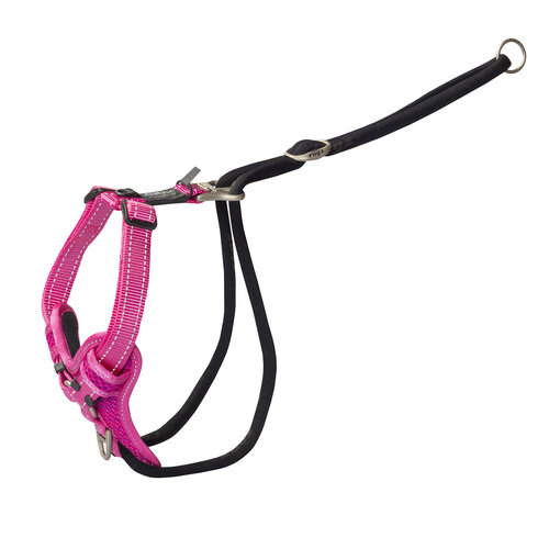 Rogz Beltz Utility Stop Pull Tuig L Roze 1 st. Large