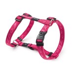 Rogz Beltz Alpinist Tuig M Roze 1 st. Medium